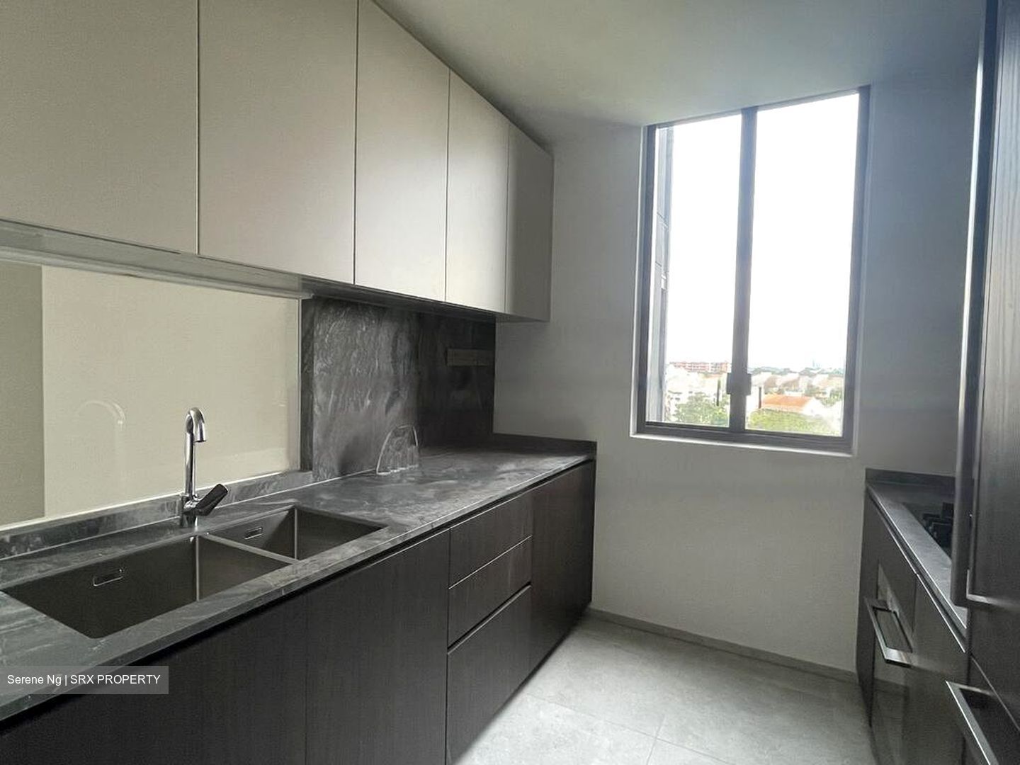 Leedon Green (D10), Condominium #436142401